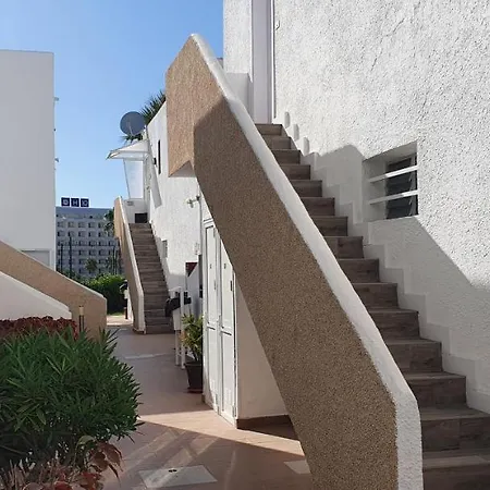 Adults Only Sunny Quiet In Center Of Americas Apartment *