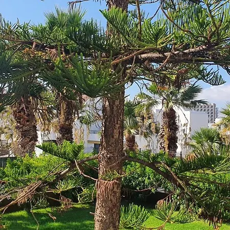 Adults Only Sunny Quiet With Aircon In Center Of Americas Apartman