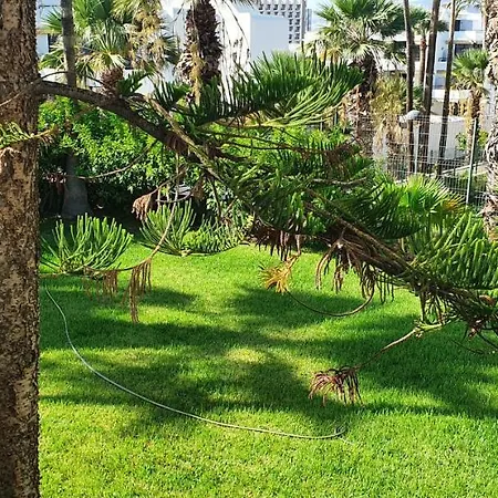 Adults Only Sunny Quiet In Center Of Americas Apartment Arona (Tenerife)