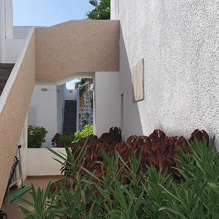 Adults Only Sunny Quiet In Center Of Americas * Arona (Tenerife)