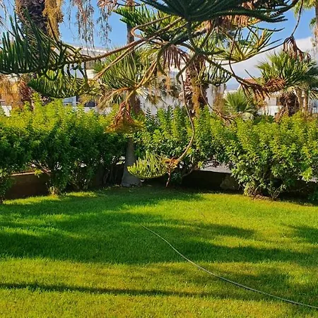 Apartment Adults Only Sunny Quiet In Center Of Americas *