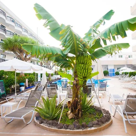 Adults Only Sunny Quiet With Aircon In Center Of Americas