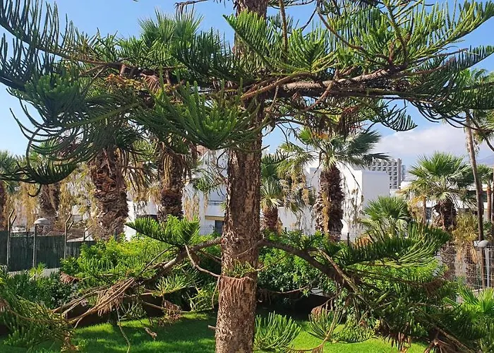 Adults Only Sunny Quiet In Center Of Americas شقة