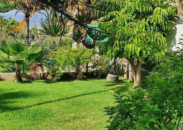 Apartment Adults Only Sunny Quiet In Center Of Americas