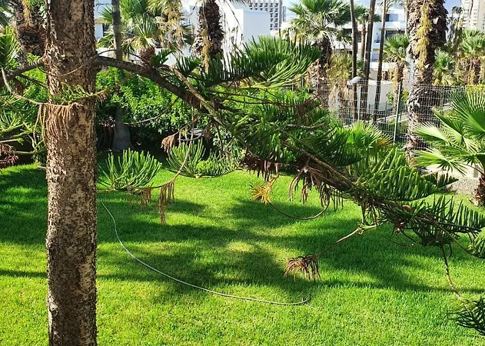 Adults Only Sunny Quiet In Center Of Americas Apartment Arona (Tenerife)